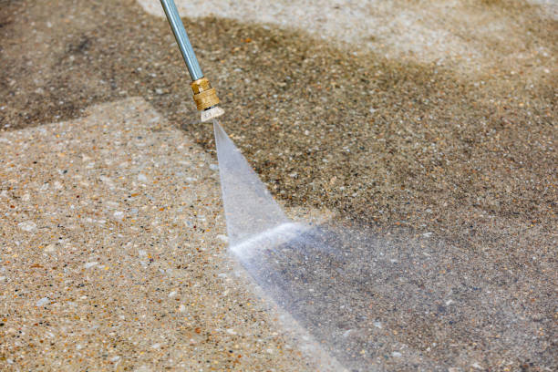 Best Warehouse Cleaning  in Caro, MI