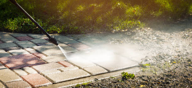 Best Gutter Cleaning  in Caro, MI